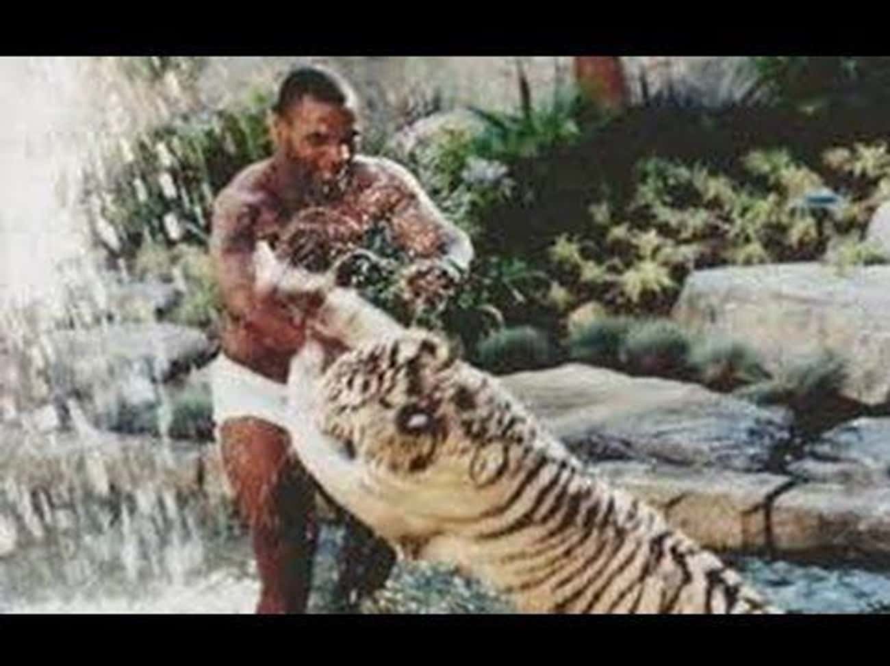 Some People Have Cats For Pets, Mike Tyson Had Two Tigers