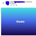 A Strong Opinions On Goats on Random Old People Who Gave Using Facebook Their Best Shot, But Really Missed Mark
