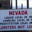 At Least Nevada Has Its Priorities Straight on Random Hilarious Photos That Perfectly Describe Every American State