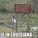 Traffic Jam In Louisiana on Random Hilarious Photos That Perfectly Describe Every American State