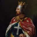 Richard The Lionheart Was The First To Use Tarring And Feathering on Random Brutal History Behind Tarring And Feathering