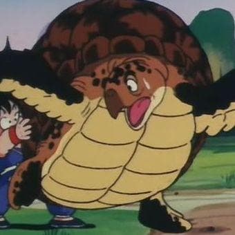 The 15+ Best Anime Turtle Characters
