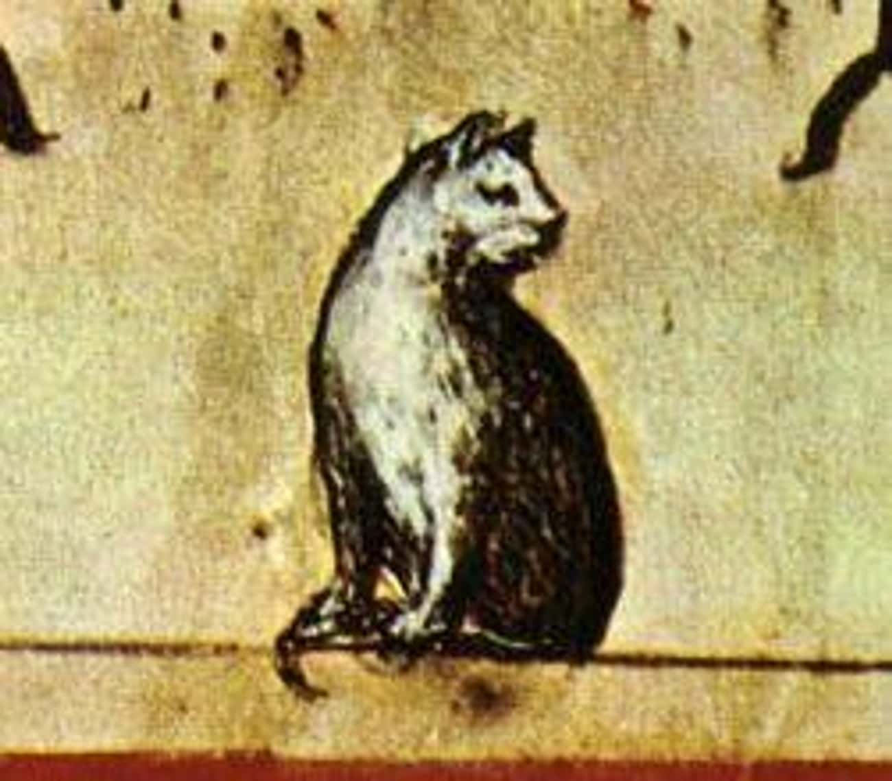 The Independent Nature Of Cats Made Medieval People Suspicious