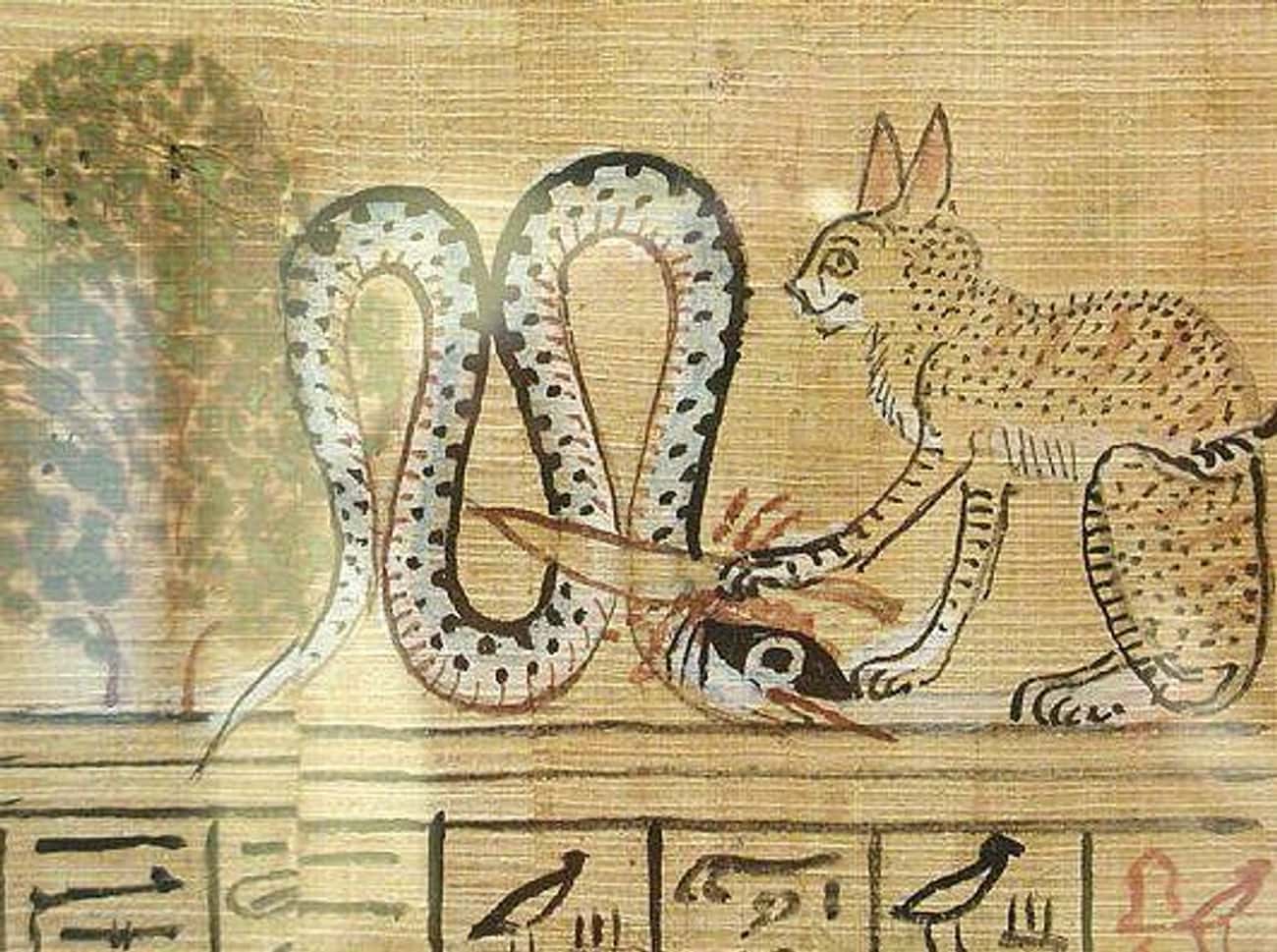It Wasn&#39;t Always This Way – Ancient Civilizations Worshipped And Revered Cats