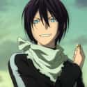 Yato on Random Male Anime Characters You'd Want As Your Husband