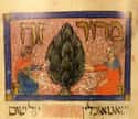 Many People Are Critical That The Sarajevo Haggadah Is Not Accessible To The World Public After All It's Been Through on Random Luckiest Book In History Has Survived Three Genocides