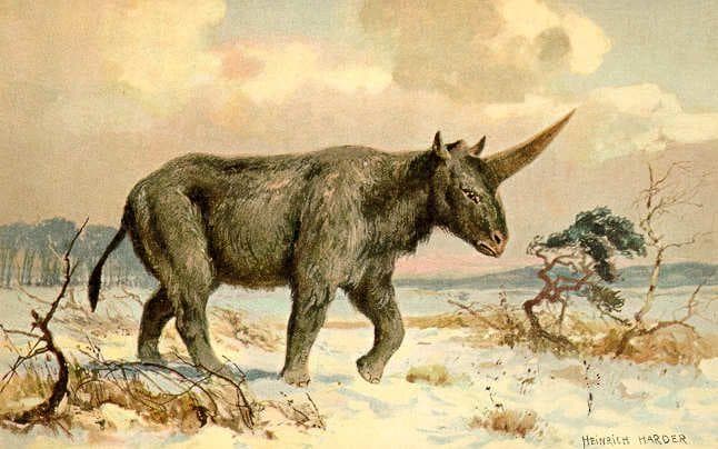 Random Unicorn-Like Animals Existed 29,000 Years Ago