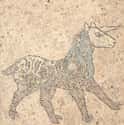 Stories Of Unicorns Come From All Over The World on Random Unicorn-Like Animals Existed 29,000 Years Ago