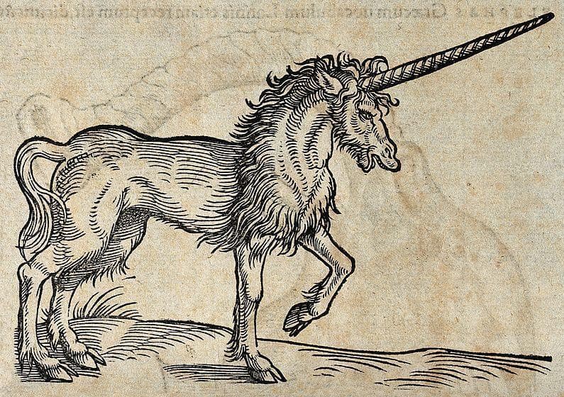 Pics Real Life Unicorns Existed They Were Terrifying