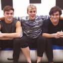 Dolan Twins is listed (or ranked) 13 on the list Who Are Jake Paul's Best Friends?