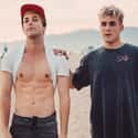 Tristan Tales is listed (or ranked) 14 on the list Who Are Jake Paul's Best Friends?