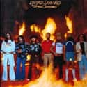 The Accident Forced An Album Cover Change And Brought Attention To A Prescient Song on Random Truth About Infamous Lynyrd Skynyrd Plane Crash Is Stranger Than Fiction