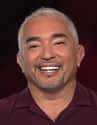 Many Experts Dispute His Theories on Random Controversies Surrounding Cesar Millan, The Dog Whisperer