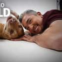 Many Experts Say His Techniques Are Counterproductive on Random Controversies Surrounding Cesar Millan, The Dog Whisperer