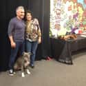 His Results Produce Made-For-TV Moments on Random Controversies Surrounding Cesar Millan, The Dog Whisperer