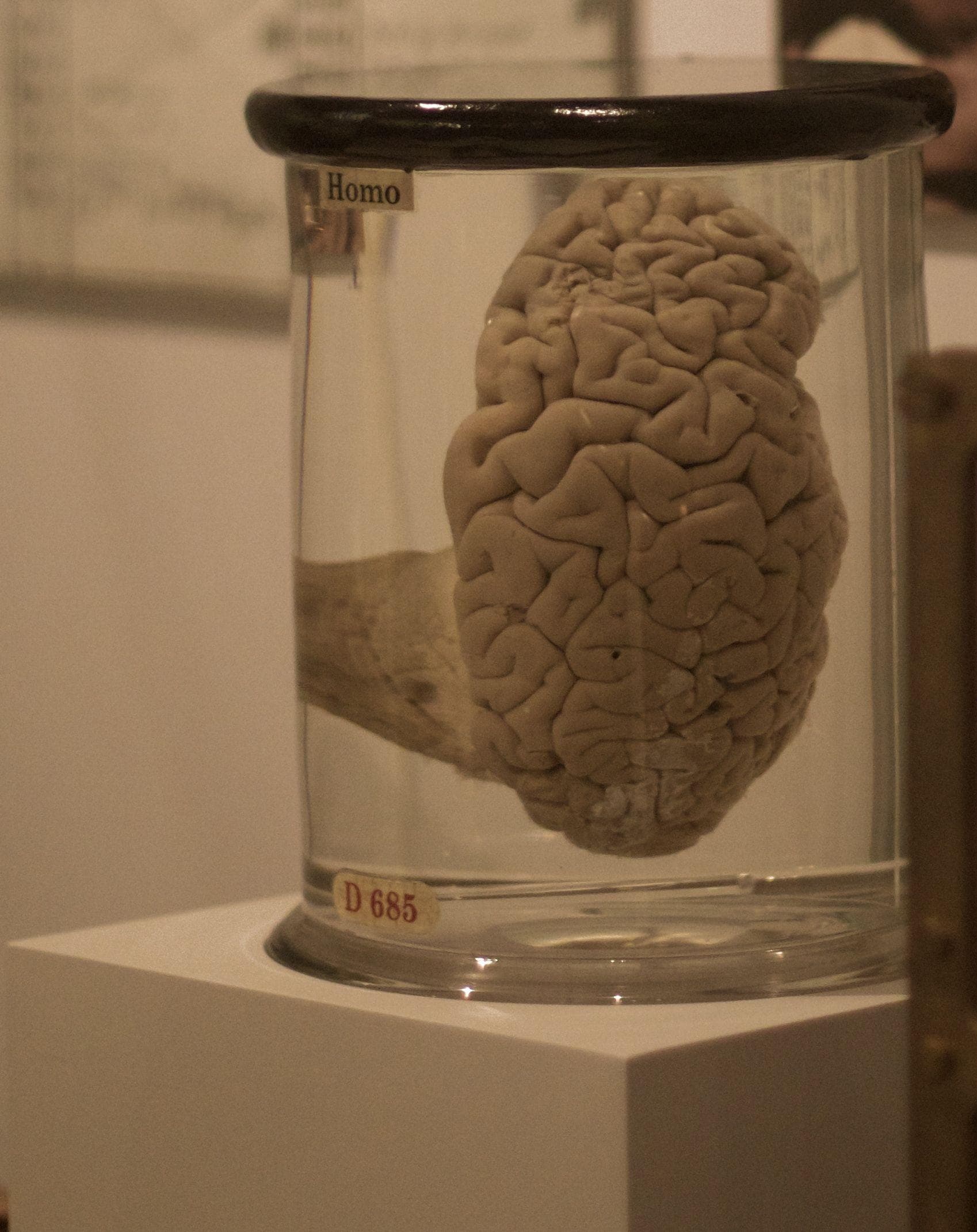 How Is Continued Consciousness Possible?