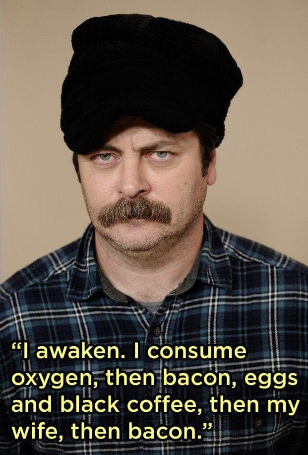 Hilarious Nick Offerman Quotes That Prove He's Basically Ron Swanson