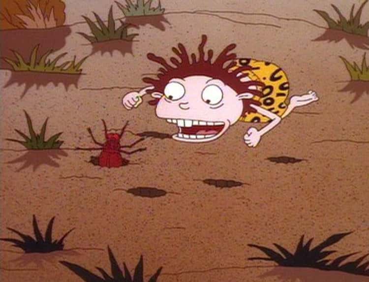 wild thornberrys characters