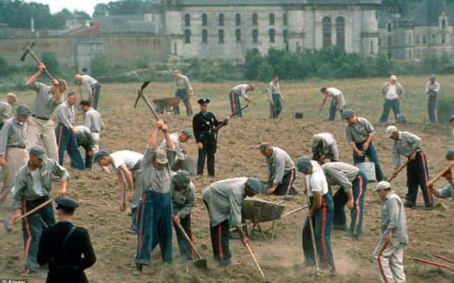 Shawshank Prison Is Mentioned ... is listed (or ranked) 1 on the list 12 Stephen King Universe Fan Theories That Make A Surprising Amount Of Sense