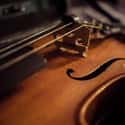 Violin Strings That Actually Sound More Melodic And Different Than, Say, Your Catgut Strings on Random Surprising Historical Items That Were Created Using Spider Silk
