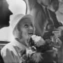 No Video Was Shot For The Documentary About Dietrich's Life on Random Stories of Marlene Dietrich Was An Old Hollywood Rabble-Rouser And Queer Champion