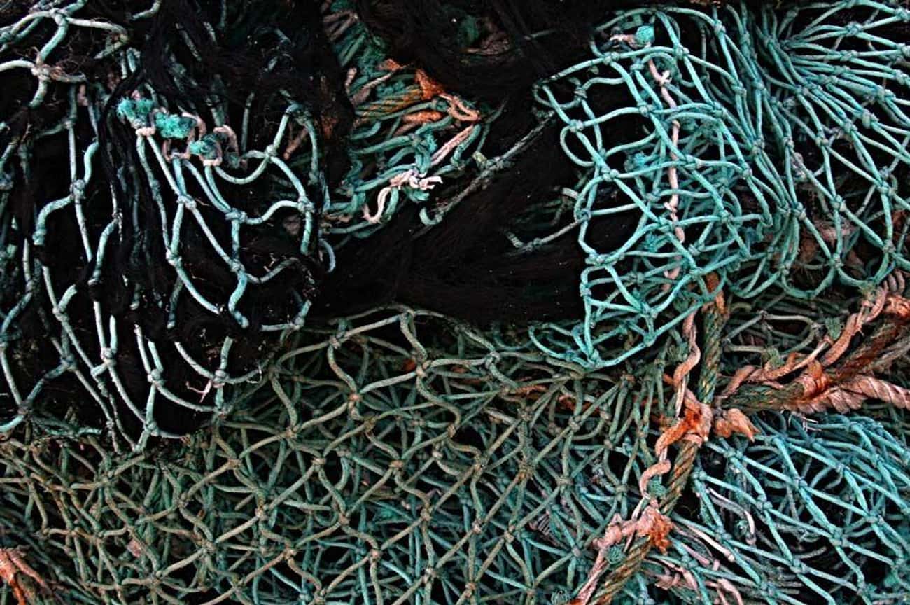 A Man&#39;s Body Was Discovered In A Fishing Net