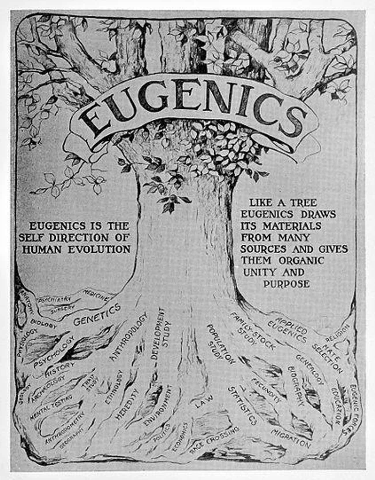 Eugenics Was Marketed As A Science That Could Improve Society