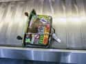 Baggage Handlers Just Wanna Have Fun on Random Biggest Secrets About Different Professions