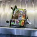 Baggage Handlers Just Wanna Have Fun on Random Biggest Secrets About Different Professions