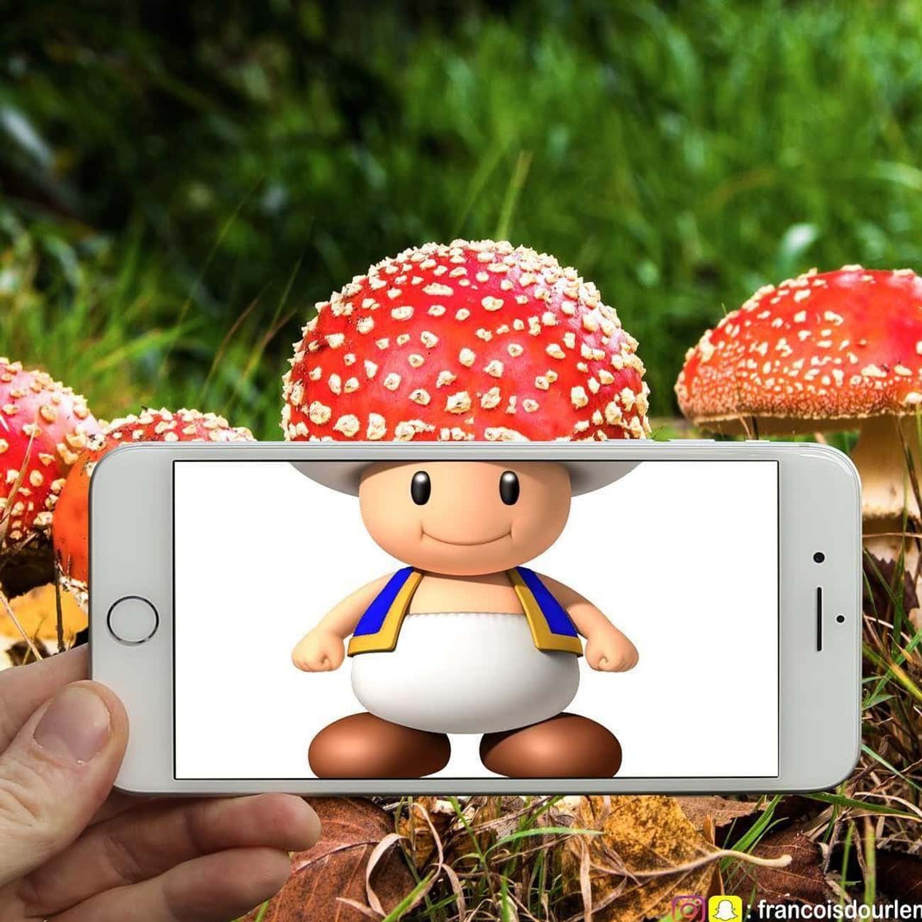 Toad Grows A Real Fungus Head
