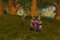 Pets Become Bombs In 'World Of Warcraft' on Random Cruelest, Most Messed Up Things Gamers Have Done To Other Gamers