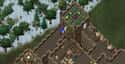 An 'Ultima Online' Player Manipulated Players To Death on Random Cruelest, Most Messed Up Things Gamers Have Done To Other Gamers