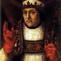 Pope Callixtus III Was The Start Of It on Random The Sins Of Borgias