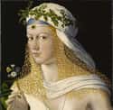 Lucrezia Got Married Three Times on Random The Sins Of Borgias