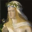 Lucrezia Got Married Three Times on Random The Sins Of Borgias