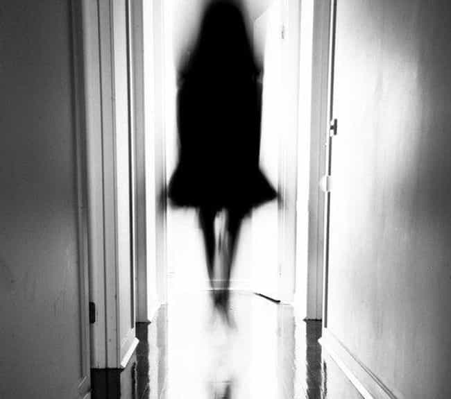 the shadow you