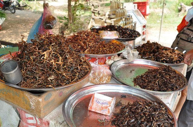 11 Wild Ways To Eat Bugs You Didn't Even Know About