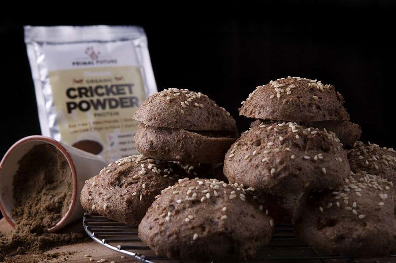 Cricket Flour Is Taking The World By Storm
