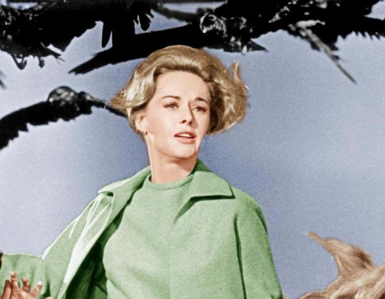 Hitchcock Lied To Tippi About Using Mechanical Birds