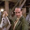 One Of Those People Is Stanley Tucci on Random 'Beethoven,' Silly Dog Movie, It's Actually Much, Much Darker Than You Think