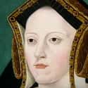 Mary Had To Compromise Her Beliefs To Be An Heir To The English Throne on Random Fatcs About Bloody Mary,  Who Is Remembered As A Murderer, But Rest Of Her Family Was Far Worse