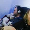 Sweet Dreams on Random In-Flight Pictures Of Best Passengers You Would Totally Share An Aisle With