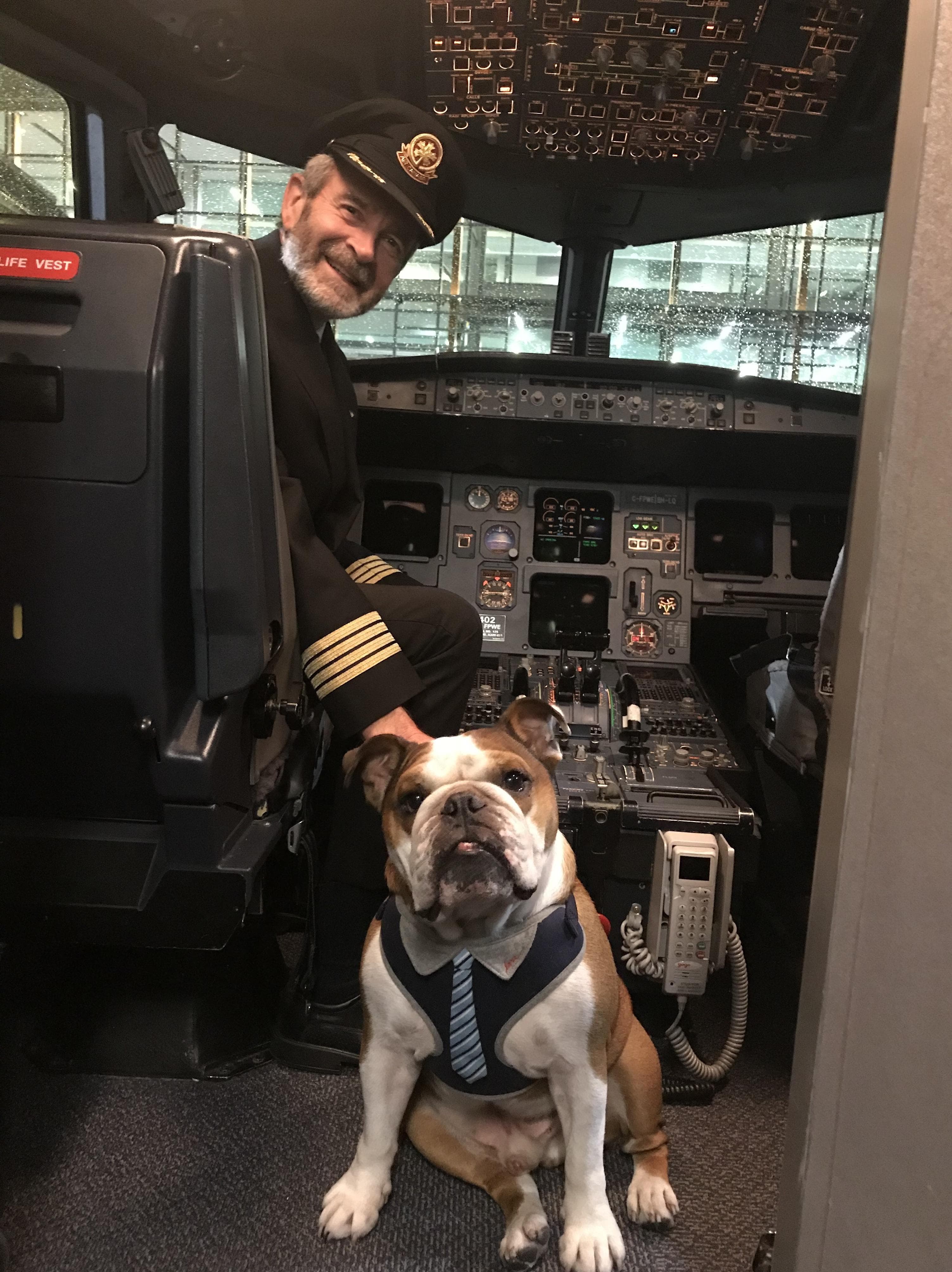 Можно с собакой в самолет. Собака в самолете. Животные летчики. Животные путешественники. Собака летчик.