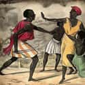 Africans Were Seized In Raids Or Purchased From African Slave Traders on Random Facts About Hell On Water: Brutal Misery Of Life On Slave Ships