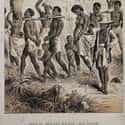 Captives Were Chained Together And Marched To The Boats on Random Facts About Hell On Water: Brutal Misery Of Life On Slave Ships
