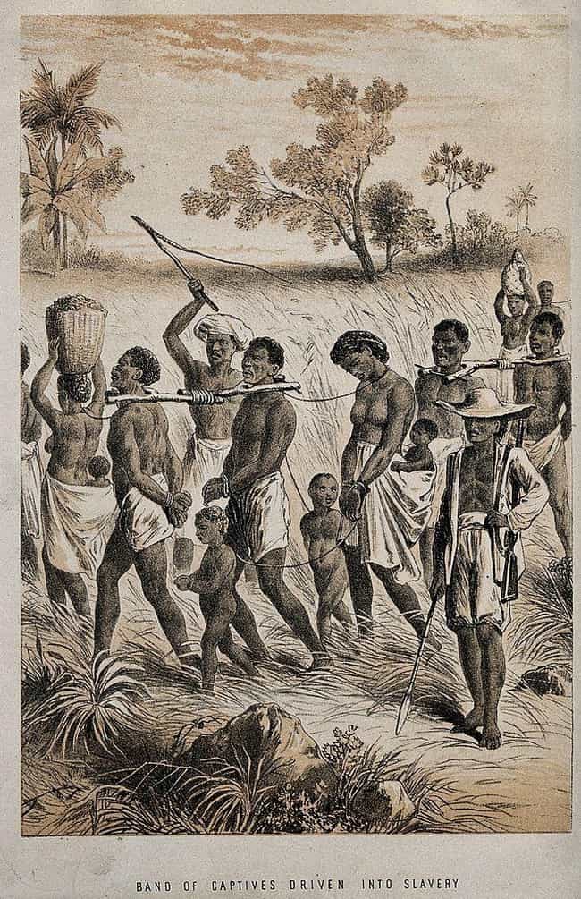 Hell On Water: The Brutal Misery Of Life On Slave Ships