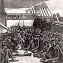 When The Weather Was Bad, Captives Had To Stay Below Deck In The Heat And Stink on Random Facts About Hell On Water: Brutal Misery Of Life On Slave Ships