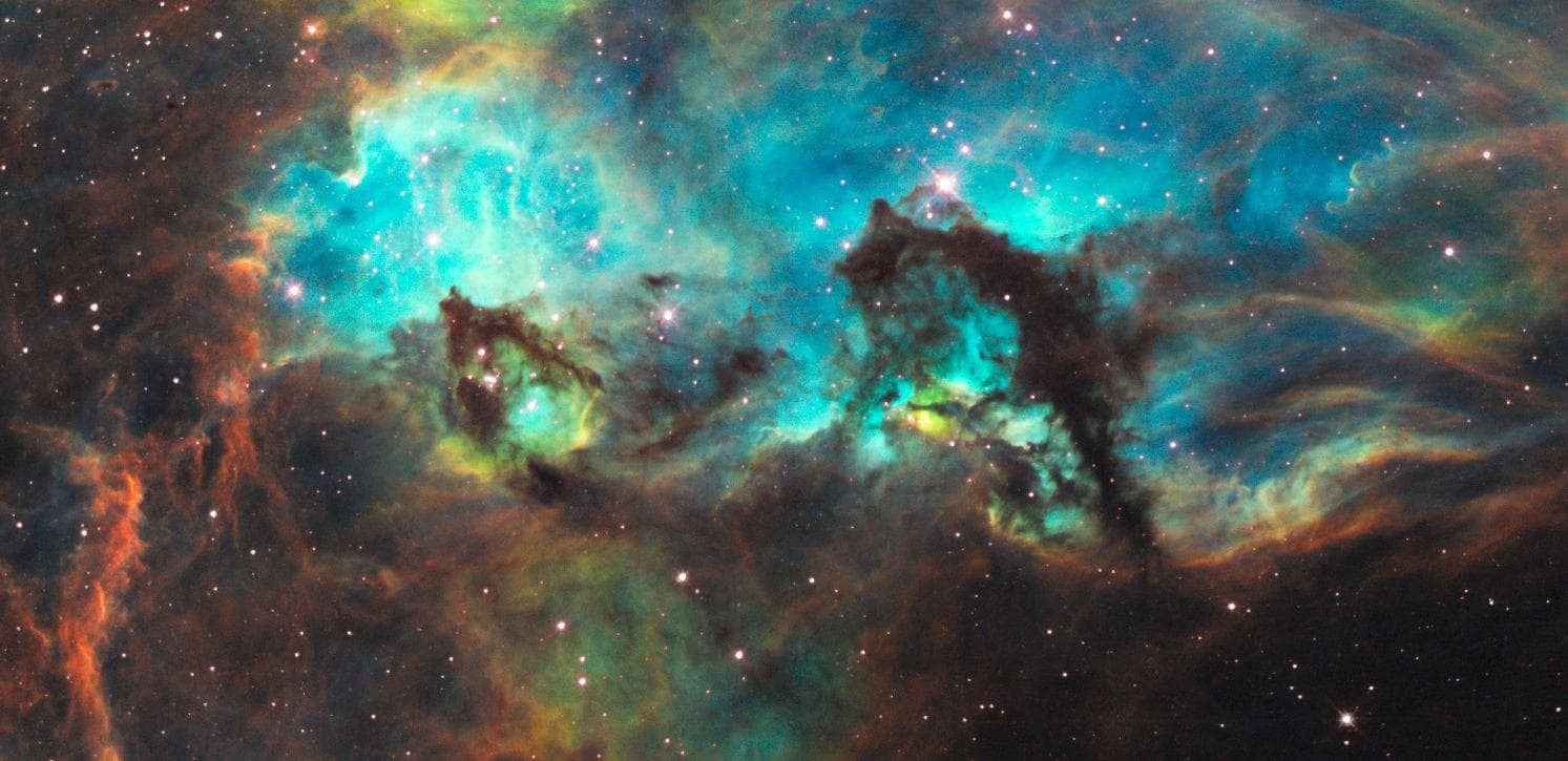 The Seahorse Of The Large Magellanic Cloud