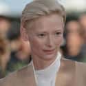 She Pioneered A Portable Movie Theater That She Pulled Through Scotland on Random Things about Tilda Swinton Is Hollywood's Most Intoxicating Weirdo