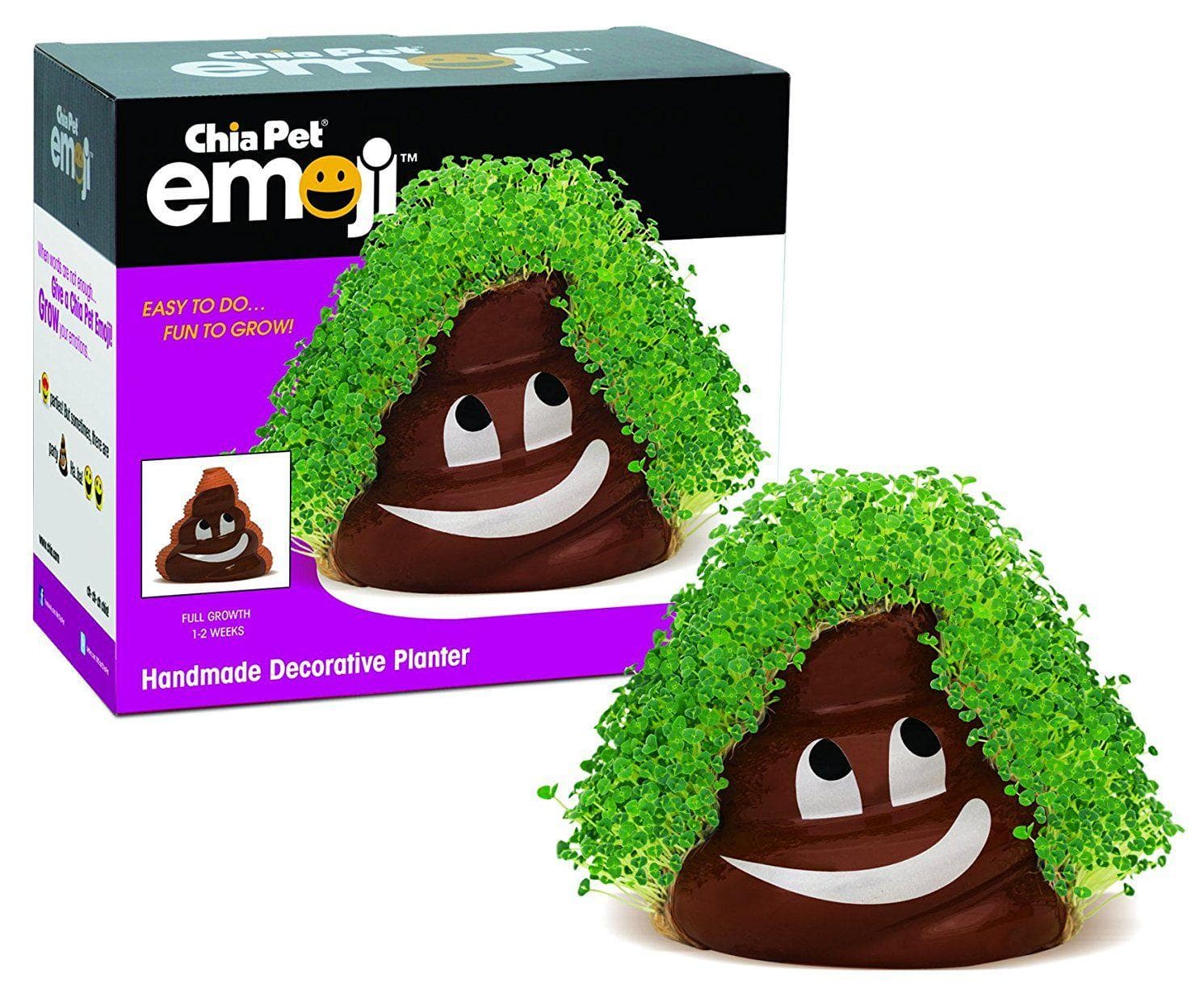 20 Newer Chia Pets You'll Actually Want to Buy